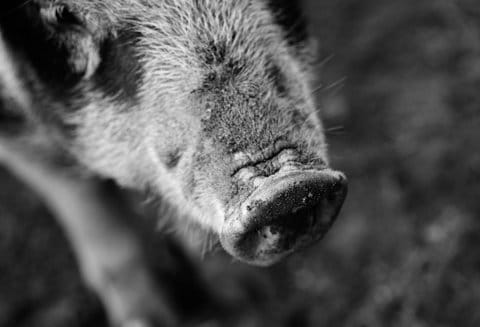 Reportage & Redaktionellt