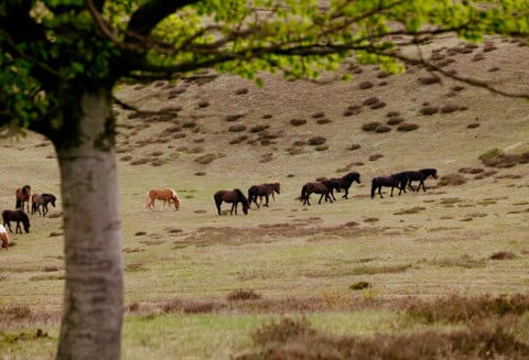 Reportage & Redaktionellt