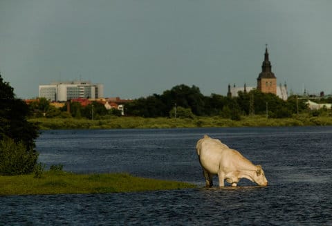 Reportage & Redaktionellt
